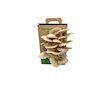 Hlíva ústřičná 6 l (Pleurotus ostreatus) MUSHROOMS GROW KIT PLANTO PO-6L-HU