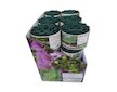 Obruba záhonů zelená 9m 25cm COLOUR BOX BRADAS BR-OBFG 0925