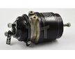 Pružinový brzdový válec DT Spare Parts 4.69817