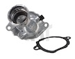 Termostat, chladivo TRUCKTEC AUTOMOTIVE 02.19.320