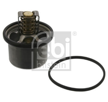 Termostat, chladivo FEBI BILSTEIN 11496