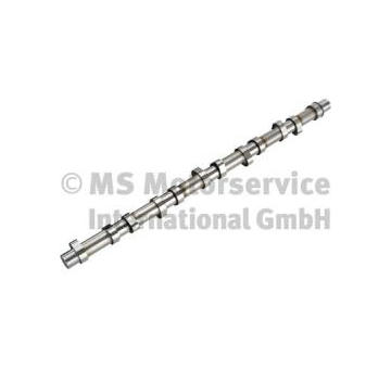 Vačkový hřídel BF 20100220662