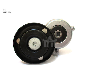 Kladka napínací IVECO Stralis/Trakker, ocelové provedení 500350419