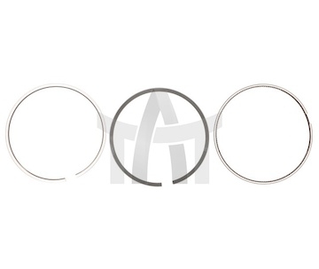 Kroužky SCANIA GOETZE 08-445200-30