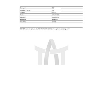 Mech, pneumatické odpružení PHOENIX 1 KF 21-2