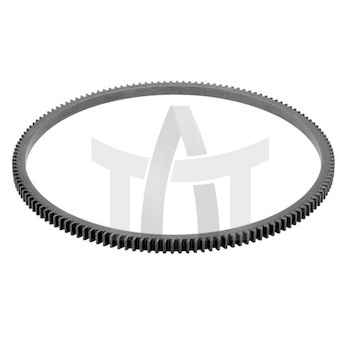 Ozubený věnec, setrvačník BF 20090208264