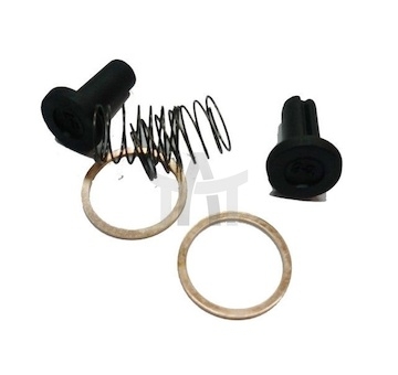 Sada na opravy - palivové čerpadlo  RDM01172