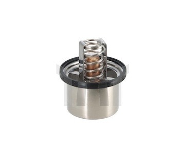 Termostat, chladivo DT Spare Parts 5.41096