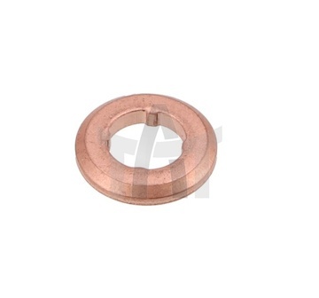 Těsnicí kroužek, tryska BOSCH F 00V P01 009