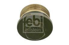 Šroub, kryt náboje FEBI BILSTEIN 22529