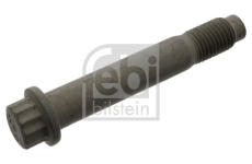 Šroub, brzdový kotouč FEBI BILSTEIN 100423