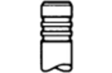 Sací ventil TRW Engine Component 48313