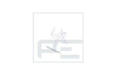 Nastavovací prvek, sedadlo PE Automotive 070.016-00A