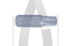 Bit HEX 10mm Torx 50x36mm KING TONY 163