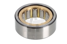 Ložisko - hřídel diferenciálu ZF 0635450098