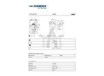 Mech, pneumatické odpružení PHOENIX 1 DF 20 A-4