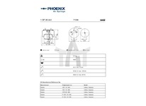 Mech, pneumatické odpružení PHOENIX 1 DF 25 A-2