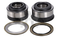 Sada ložisek kol SKF VKBA 5462