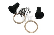 Sada na opravy - palivové čerpadlo  RDM01172