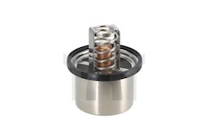 Termostat, chladivo DT Spare Parts 5.41096