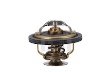 Termostat - chladivo IVECO 500329622