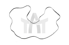 Těsnění, kryt hlavy válce SAMPA 026.089