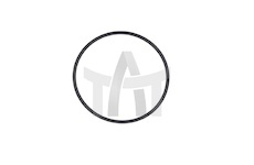 Těsnění, palivový filtr MAN 51965010581