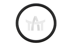 Těsnicí kroužek DT Spare Parts 1.24307