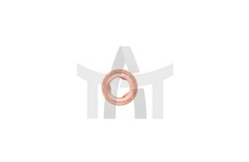 Těsnicí kroužek, tryska BOSCH 2 430 105 049