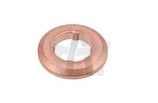 Těsnicí kroužek, tryska BOSCH F 00V P01 009