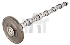 Vačkový hřídel BF 20100228762